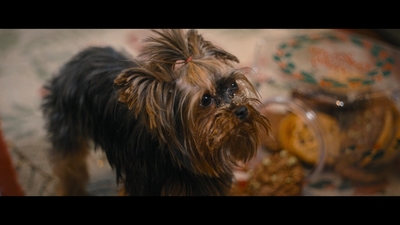 Our_Little_Secret_2024_1080p_LLP_007136.jpg
