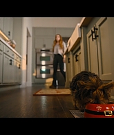 Our_Little_Secret_2024_1080p_LLP_007011.jpg