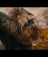 Our_Little_Secret_2024_1080p_LLP_007136.jpg
