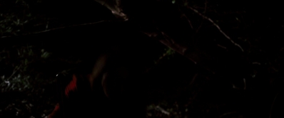 I_Know_Who_Killed_Me_2007_1080p_Bluray_LLP_013721.jpg