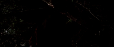 I_Know_Who_Killed_Me_2007_1080p_Bluray_LLP_013722.jpg