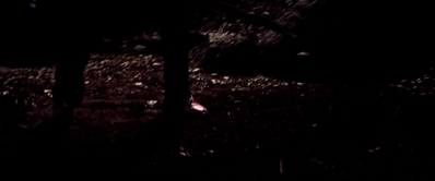 I_Know_Who_Killed_Me_2007_1080p_Bluray_LLP_013828.jpg