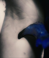 I_Know_Who_Killed_Me_2007_1080p_Bluray_LLP_006422.jpg