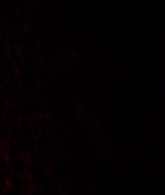 I_Know_Who_Killed_Me_2007_1080p_Bluray_LLP_006880.jpg