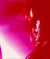 Filename=I_Know_Who_Killed_Me_2007_1080p_Bluray_LLP_008170.jpg
Filesize=157KiB
Dimensions=1920x800
Date added=Jul 02, 2026 I_Know_Who_Killed_Me_2007_1080p_Bluray_LLP_008170.jpg