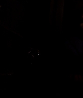 I_Know_Who_Killed_Me_2007_1080p_Bluray_LLP_012696.jpg