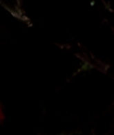 I_Know_Who_Killed_Me_2007_1080p_Bluray_LLP_013716.jpg