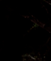 I_Know_Who_Killed_Me_2007_1080p_Bluray_LLP_013719.jpg
