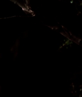 I_Know_Who_Killed_Me_2007_1080p_Bluray_LLP_013722.jpg