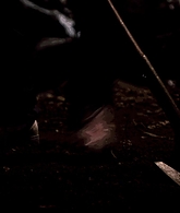 I_Know_Who_Killed_Me_2007_1080p_Bluray_LLP_013806.jpg