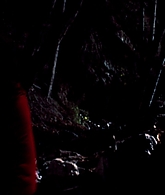 I_Know_Who_Killed_Me_2007_1080p_Bluray_LLP_013812.jpg