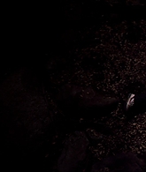 I_Know_Who_Killed_Me_2007_1080p_Bluray_LLP_014055.jpg